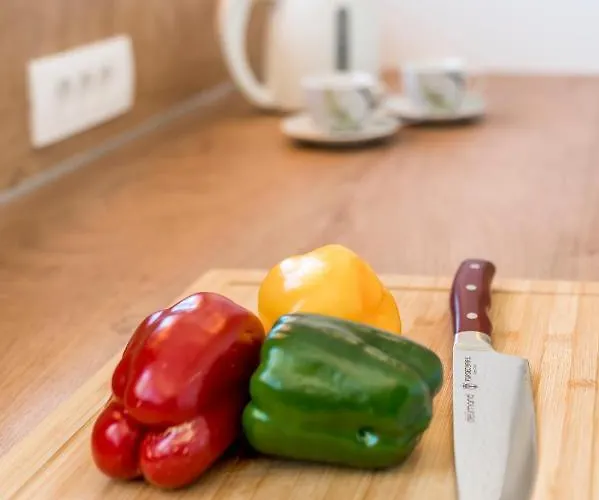 Oli 公寓 布罗达里卡