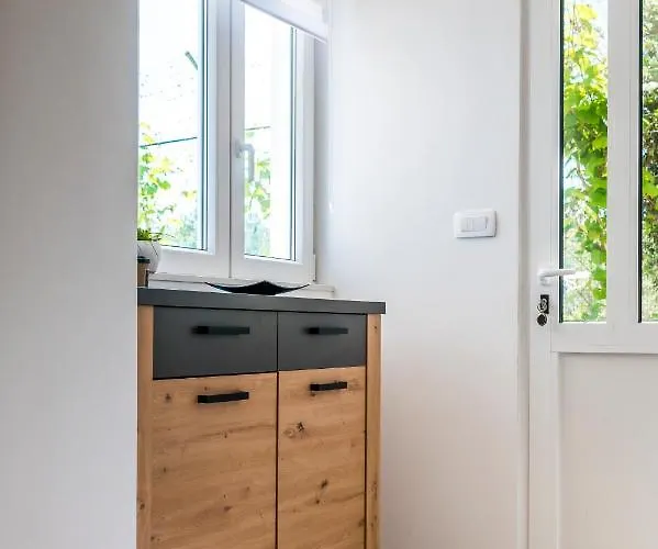 Oli * 布罗达里卡