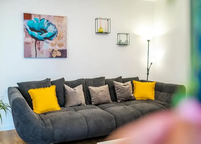 Oli * 布罗达里卡