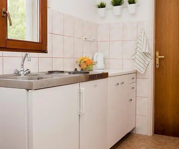 Oli Brodarica (Sibenik-Knin)