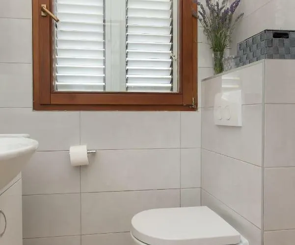 Oli * 布罗达里卡